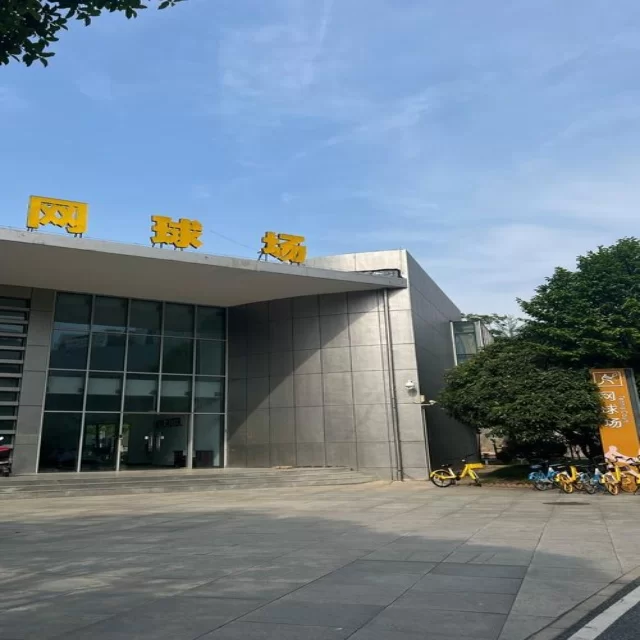 乒乓球冠军竞争格局的数据分析视角洞察
